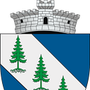 Stema COMUNA DORNA ARINI
