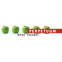 AX PERPETUUM IMPEX SRL