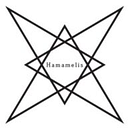 HAMAMELIS SRL
