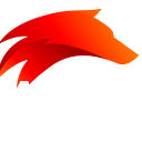 TRANS FOX SRL