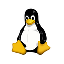 NETSOFT S.R.L.
