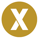 SECUREX SRL