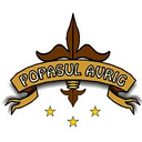 POPASUL AVRIG SRL