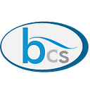 BORERO COMSERV SRL