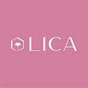 LICA S.R.L.