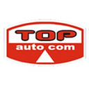 TOPAUTO COM SA