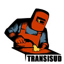 TRANSISUD CONSULTING S.R.L.